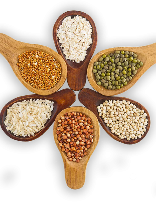 Grains