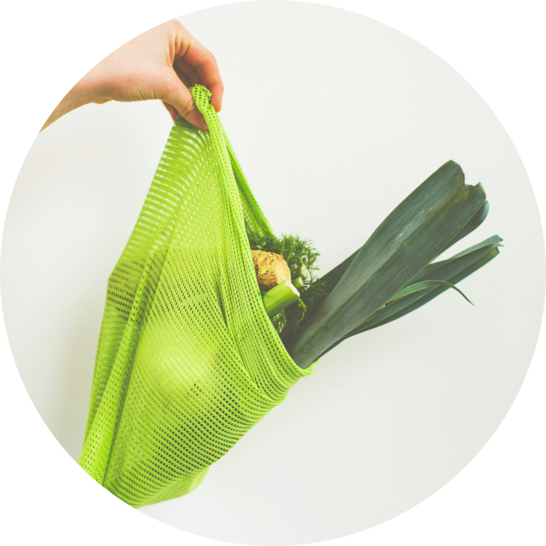 Reusable Bag